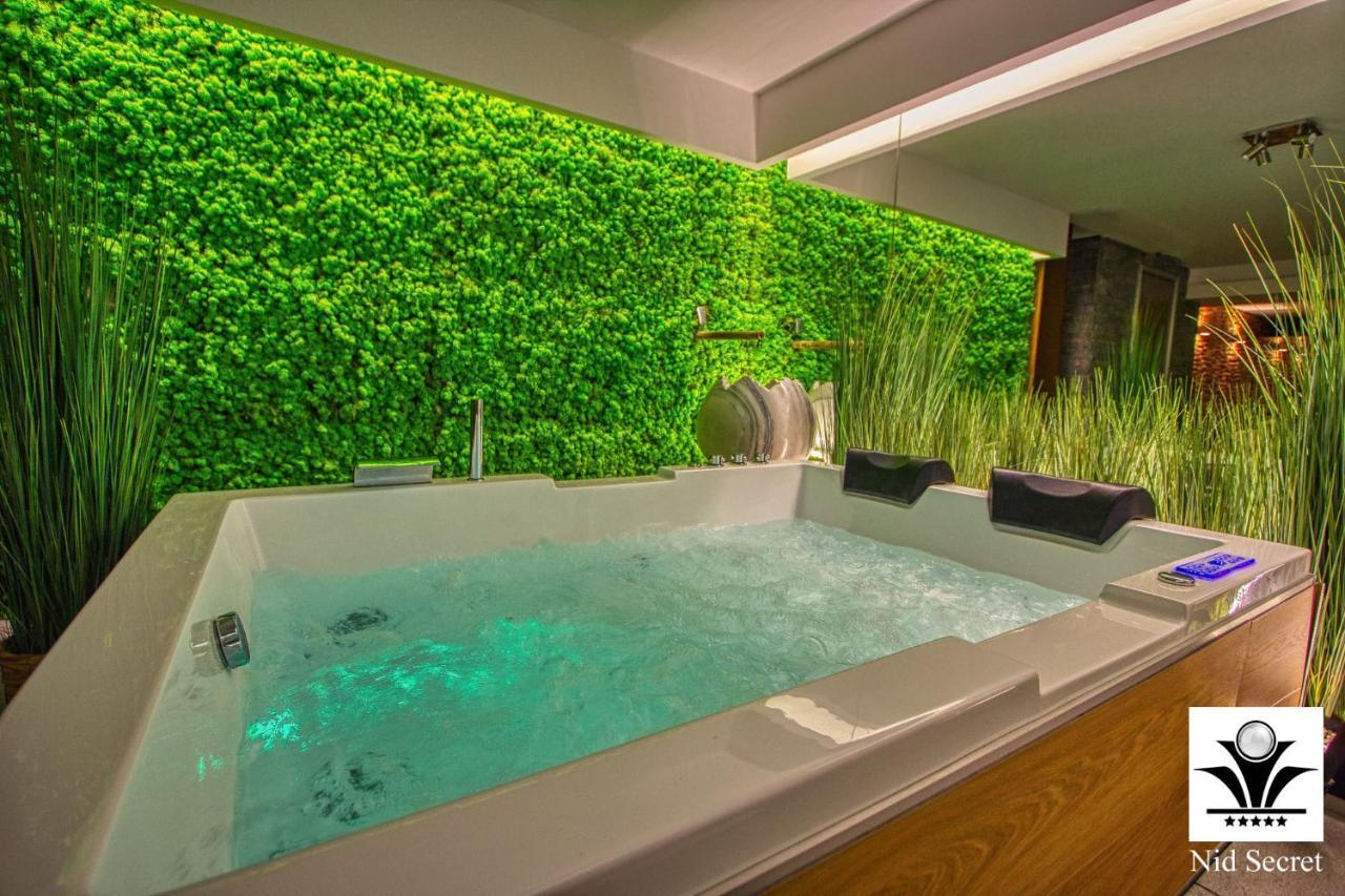 Panoramique 180 Lac Et Montagne Et Nid Secret Spa Romantique Annecy Kültér fotó